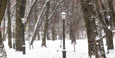 Днем 11 декабря по Беларуси ожидаются сильный снег, метель, на дорогах гололед. МЧС напоминает правила безопасности в непогоду