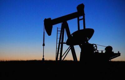 Американский аналитик Шостак: цена на нефть может увеличиться до $150 из-за потолка цен - ont.by - Россия - США - Белоруссия
