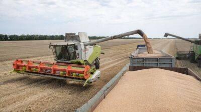 Минагрополитики рассказало, сколько тонн зерновых удалось собрать в условиях войны