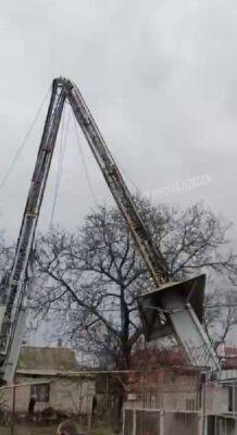 Ветер в Одессе: падают вышки связи и деревья, разрушаются трубы отопления