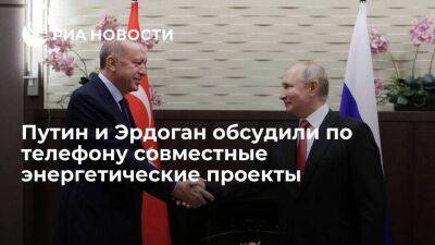 Путин и Эрдоган обсудили по телефону вопросы создания в Турции регионального газового хаба