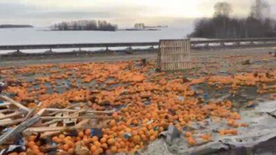 Фура с мандаринами опрокинулась на трассе в Челябинской области