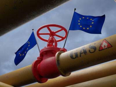 12 стран ЕС призвали снизить "потолок цен" на российский газ