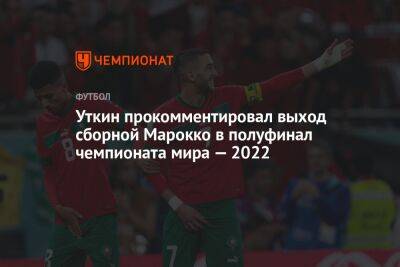 Уткин прокомментировал выход сборной Марокко в полуфинал чемпионата мира — 2022