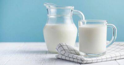 В 2022 году в Беларуси надоят около 8 миллионов тонн молока