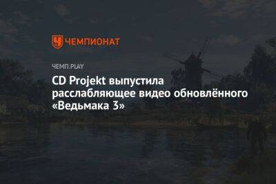 CD Projekt выпустила расслабляющее видео обновлённого «Ведьмака 3»