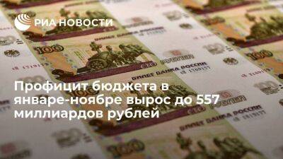 Минфин: профицит российского бюджета в январе-ноябре вырос до 557,02 миллиарда рублей
