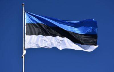 Парламент Естонії схвалив перехід навчального процесу на естонську мову - rbc.ua - Україна - Естонія