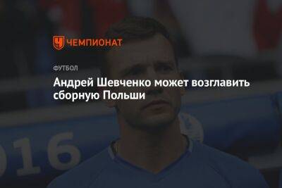 Андрей Шевченко может возглавить сборную Польши