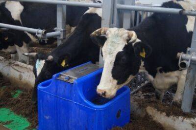 Проверка подготовки животноводческих помещений к зиме прошла в Кунгурском округе