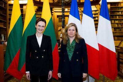 Спикер Сейма Литвы: ожидаем лидерства Франции в деле предоставления помощи Украине