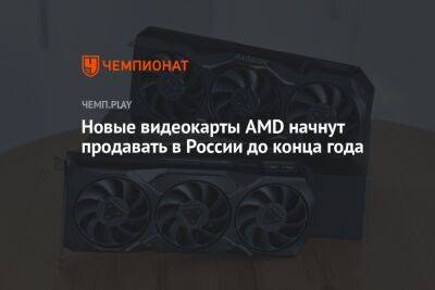 Новые видеокарты AMD начнут продавать в России до конца года