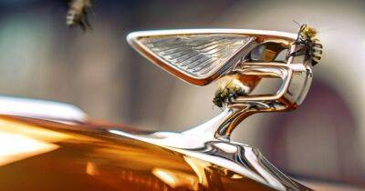 Не только автомобили: Bentley наладили производство меда (фото)