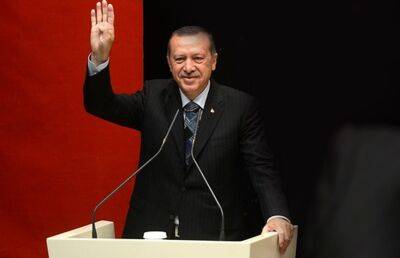 Эрдоган заявил, что просил у Путина поддержки по защите границы с Сирией