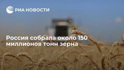 Глава Минсельхоза Патрушев: Россия собрала около 150 миллионов тонн зерна в чистом весе