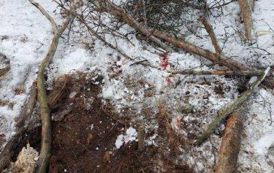 На Киевщине у границы с Беларусью взорвалась мина, есть раненый