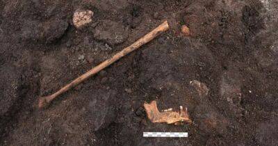 В Дании нашли 5000-летнее "болотное тело": это была жертва человеческого жертвоприношения (фото)