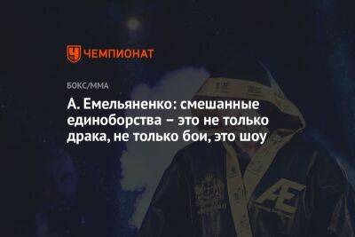 А. Емельяненко: смешанные единоборства — это не только драка, не только бои, это шоу