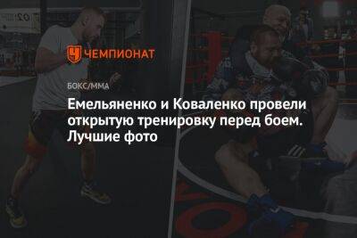 Емельяненко и Коваленко провели открытую тренировку перед боем. Лучшие фото