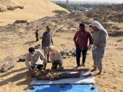 У Єгипті виявлено гробницю з грецькою мумією (Фото)