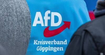 Подготовка к перевороту в ФРГ: немецкие власти призвали запретить партию АдГ