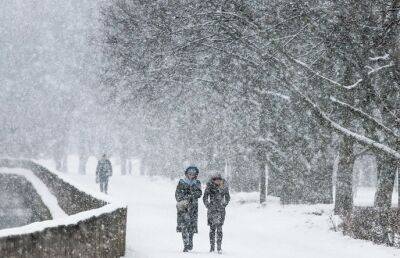 Сильные снегопады в Беларуси: МЧС предупреждает о непогоде