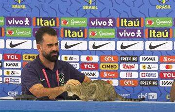 Бразильская конфедерация футбола получила миллионный иск за кота, сброшенного со стола на пресс-конференции в Катаре