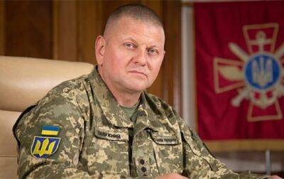 Из ВСУ было уволено 10 генералов - Залужный