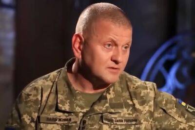 "Я не сомневаюсь, что они снова пойдут на Киев": Залужный рассказал правду о наступлении орков и подготовке большой операции
