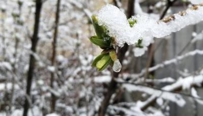 Морози в Україні посиляться до -17 градусів: синоптик назвала дату