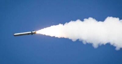 Россияне выпустили по Украине более 70 ракет, — Цаплиенко
