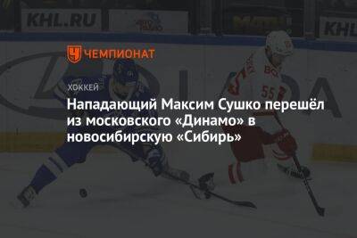 Нападающий Максим Сушко перешёл из московского «Динамо» в новосибирскую «Сибирь»
