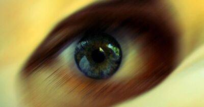 Окно в человеческий разум. Ученые обнаружили, что мерцание глаз выдает наши истинные мысли
