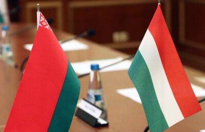 Беларусь и Венгрия обсудили активизацию межведомственного диалога