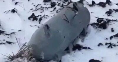 Недолетела: российская крылатая ракета Х-101 упала в Волгоградской области (фото)