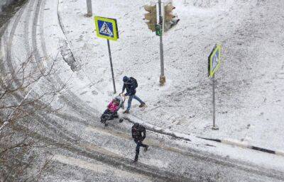 Прогноз погоды в Твери: синоптики опять обещают снегопад