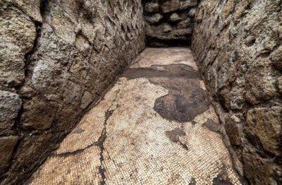 Археологи виявили стародавню мозаїку, що належала правій руці імператора Августа (Фото)