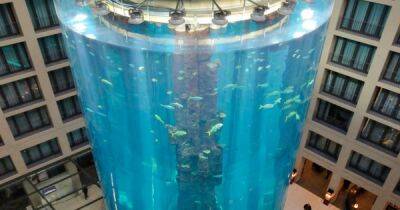 Взорвался аквариум из Книги рекордов Гиннеса: пострадали и рыбы, и люди