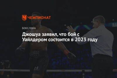 Александр Усик - Роберт Хелениус - Джошуа заявил, что бой с Уайлдером состоится в 2023 году - championat.com - Финляндия