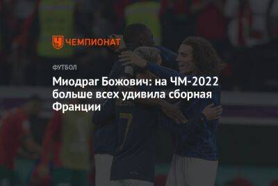 Миодраг Божович: на ЧМ-2022 больше всех удивила сборная Франции