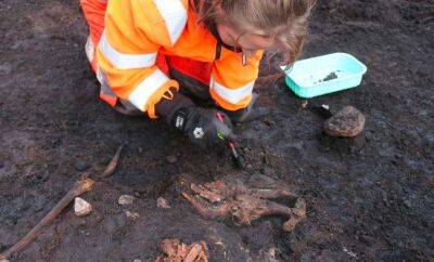Ритуальне болотне тіло часів неоліту знайшли в Данії