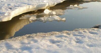 Трагедия на озере Саукас: под лед провалился и погиб депутат Ращевскис