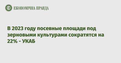 В 2023 году посевные площади под зерновыми культурами сократятся на 22% - УКАБ