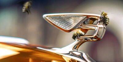 Bentley наладили производство меда — кому достанутся эксклюзивные баночки