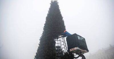 В Киеве начали украшать "елку несокрушимости"