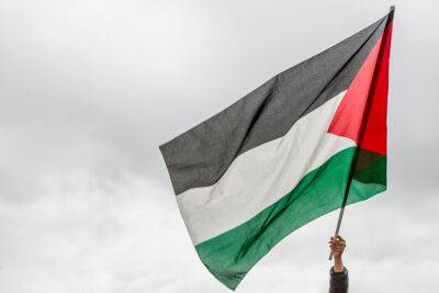 Невзирая на законы и БАГАЦ: трое арестованы в Хайфе за палестинский флаг