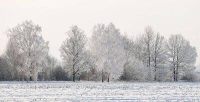 Сильный снег ожидается 18 декабря во многих областях Беларуси