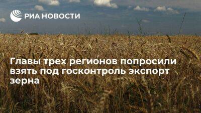 Губернаторы Кондратьев, Голубев и Владимиров призвали взять под госконтроль экспорт зерна