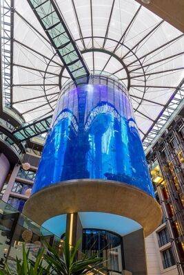 В Берлине лопнул гигантский аквариум AquaDom