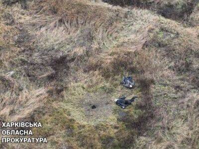 В Харьковской области двое мужчин погибли, подорвавшись на мине, – прокуратура